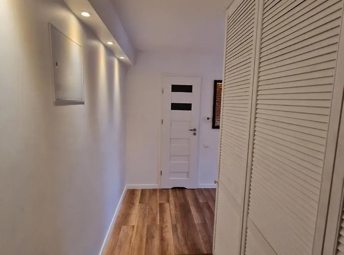 Max Parter, Free Parking *